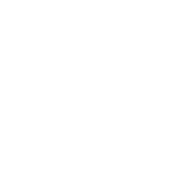 Blood Origins Inc logo